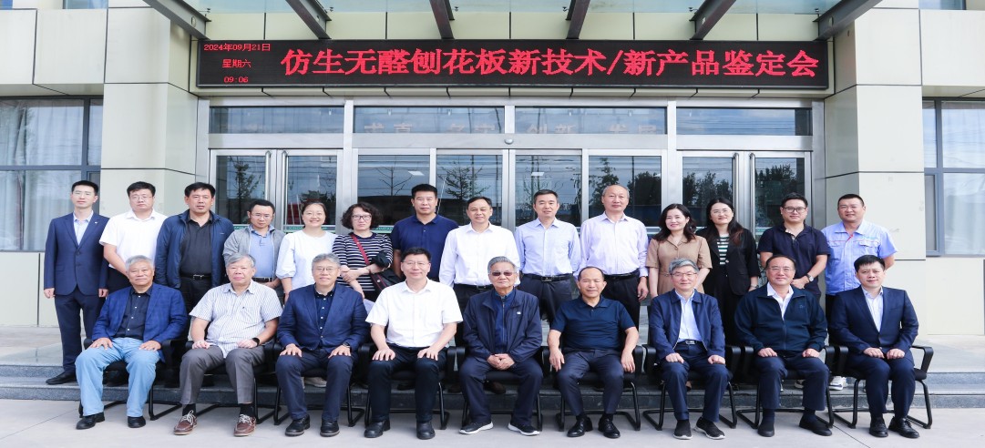 重磅！新港集團(tuán)和東北林業(yè)大學(xué)共同研發(fā)的仿生無醛刨花板新技術(shù)/新產(chǎn)品通過4項“國際領(lǐng)先”水平鑒定!
